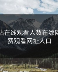免费网站在线观看人数在哪网站，免费观看网址人口
