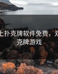 双人床上扑克牌软件免费，双人的扑克牌游戏