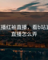 看B站直播红袖直播，看b站直播红袖直播怎么弄