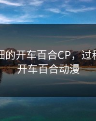 过程很细的开车百合CP，过程很细的开车百合动漫