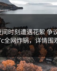 明星在夜间时刻遭遇花絮 争议四起，17c全网炸锅，详情围观