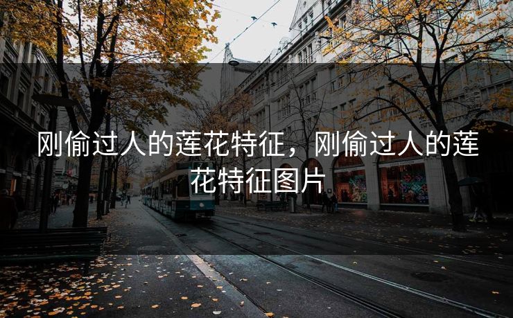 刚偷过人的莲花特征，刚偷过人的莲花特征图片